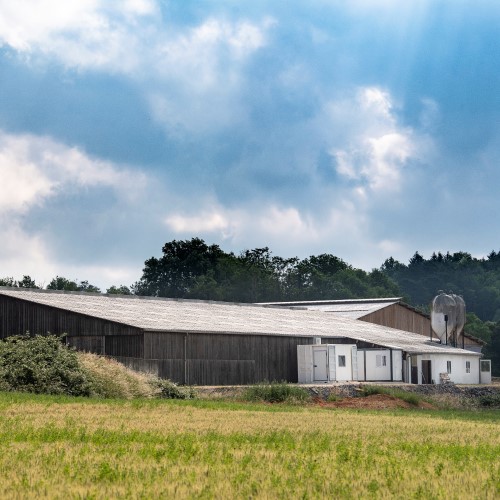 ne d une seule ferme CUSEY-0003 2